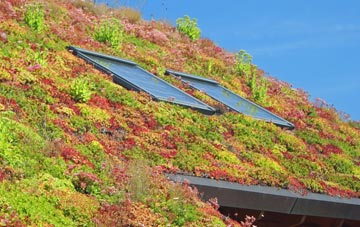 Piccotts End living roof systems