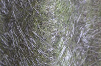 Piccotts End fibreglass roof work